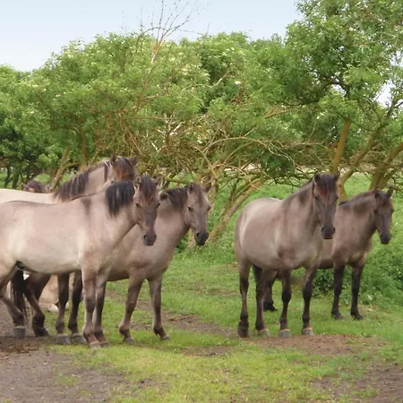 بيت للعطل Amazing In With Kitchen