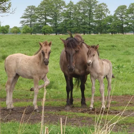 Amazing In With Kitchen