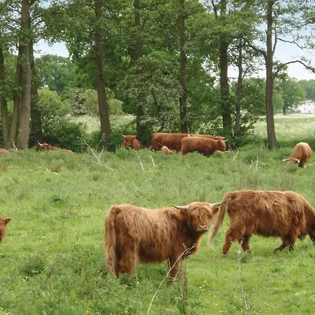 Amazing In With Kitchen