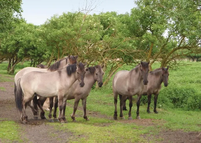 Сasa de vacaciones Amazing In With Kitchen