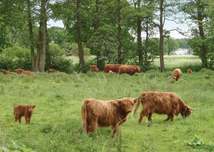 Amazing In With Kitchen